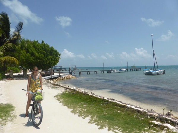 P1020808.JPG P1020808