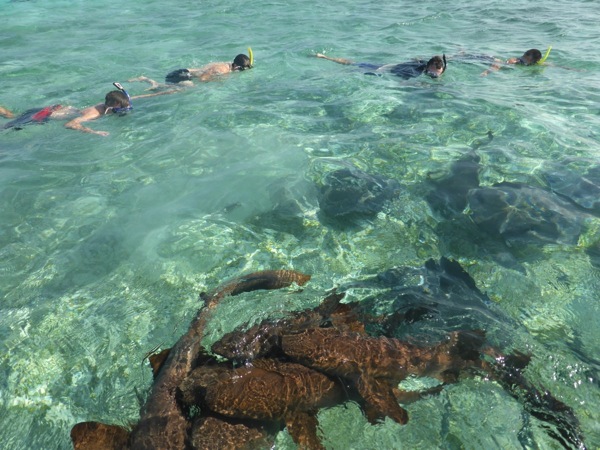 P1020838.JPG P1020838