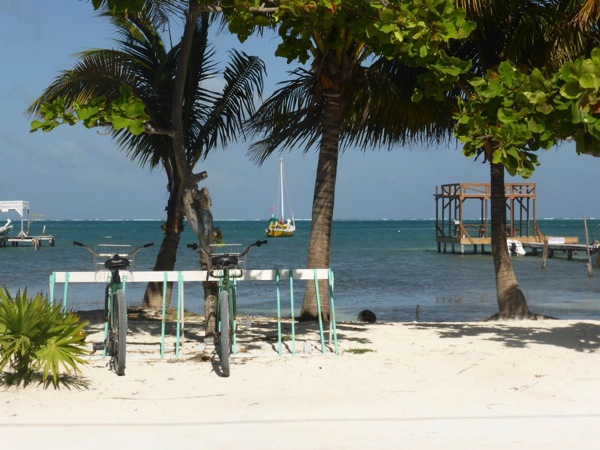 P1020851.JPG P1020851