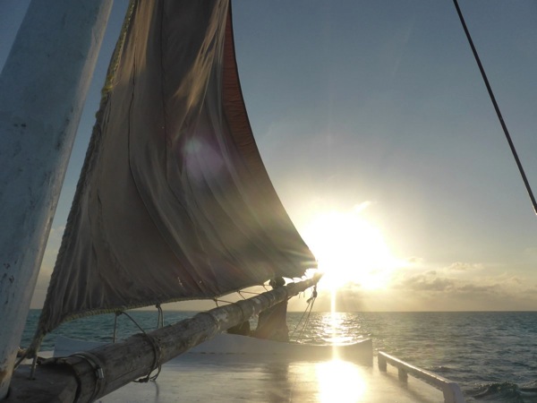 P1020873.JPG P1020873