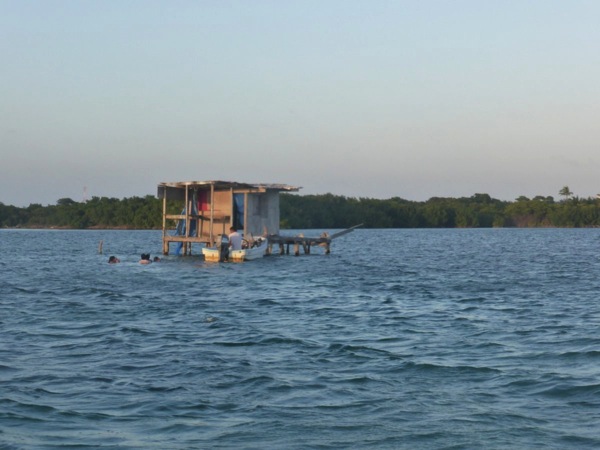 P1020885.JPG P1020885