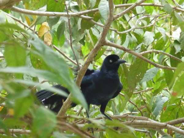 P1030024.JPG P1030024