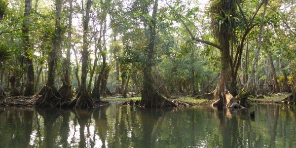 Guatemala – Rio Dulce and Lanquin