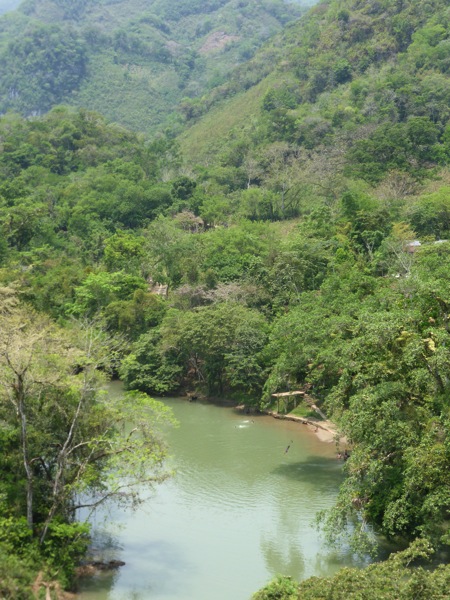 P1030314.JPG P1030314