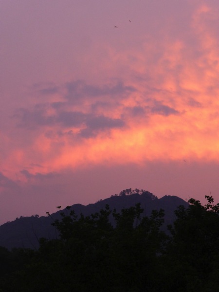 P1030358.JPG P1030358