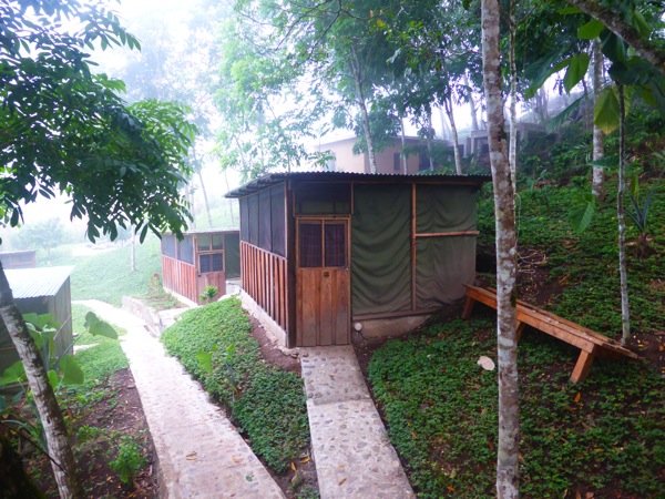 P1030374.JPG P1030374