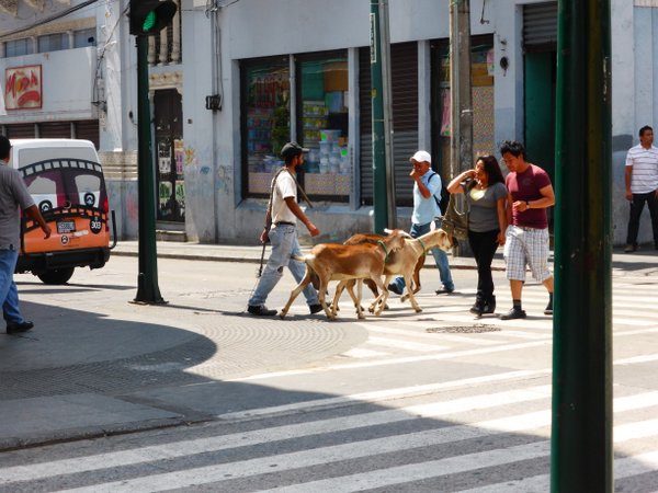 P1030391.JPG P1030391