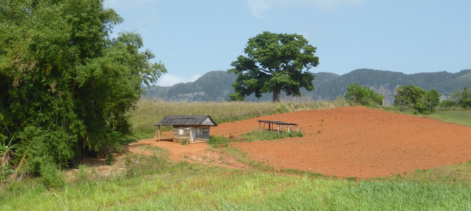 Cuba – Viñales