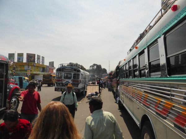 P1030432.JPG P1030432