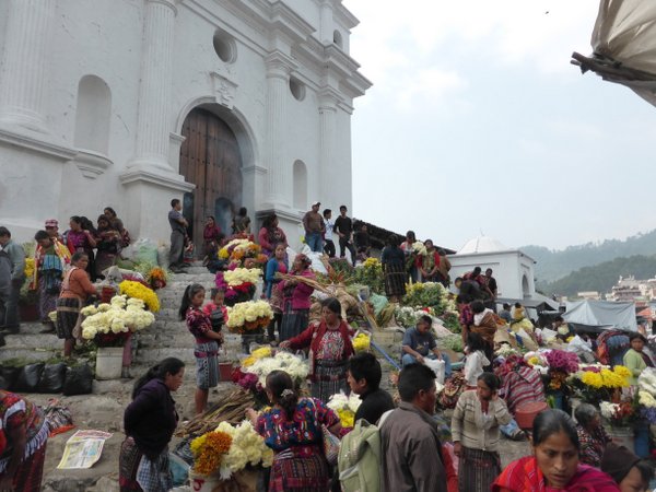 P1030451.JPG P1030451