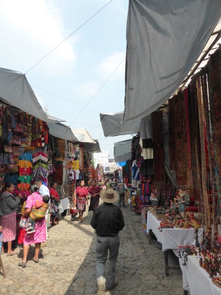 P1030453.JPG P1030453