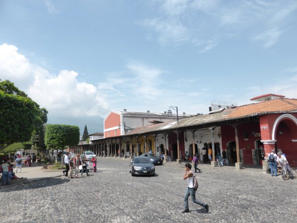 P1030656.JPG P1030656