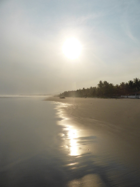 P1030798.JPG P1030798