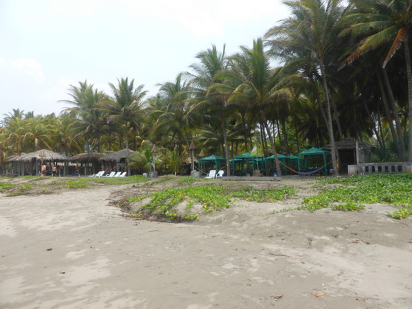 P1030973.JPG P1030973