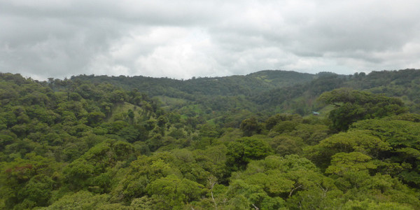 Costa Rica – Monteverde