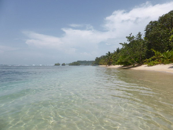 P1050049.JPG P1050049