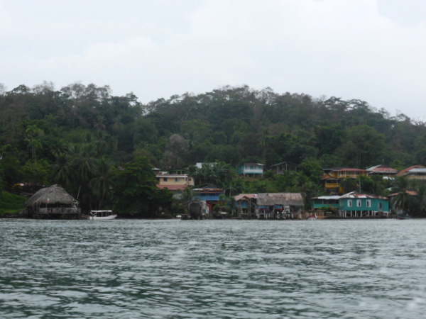 P1050064.JPG P1050064