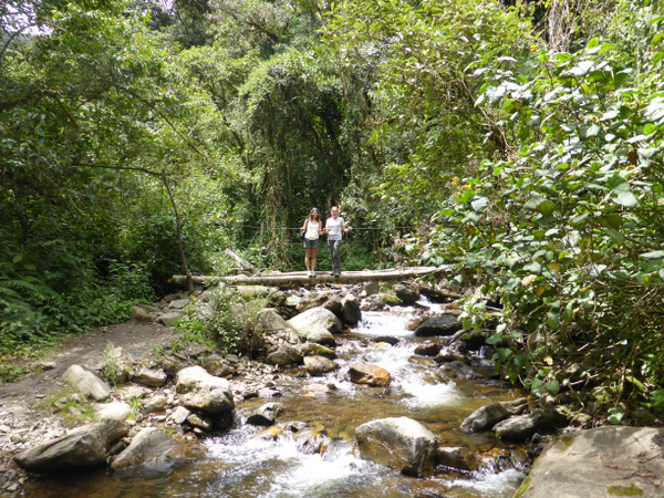 P1050946.JPG P1050946