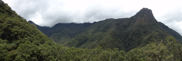 P1050949.JPG P1050949