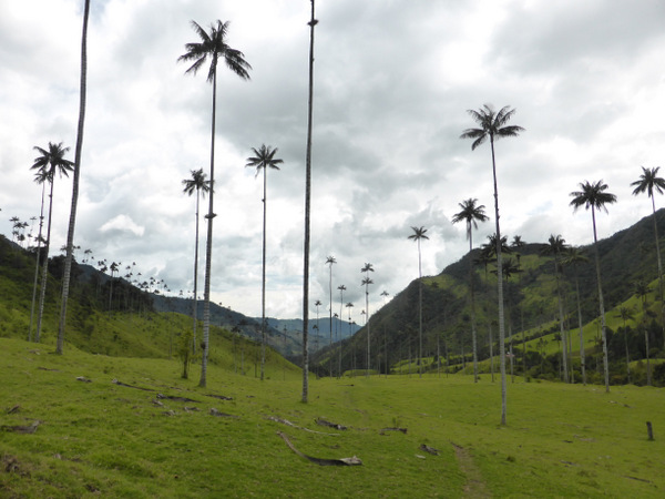 P1050979.JPG P1050979