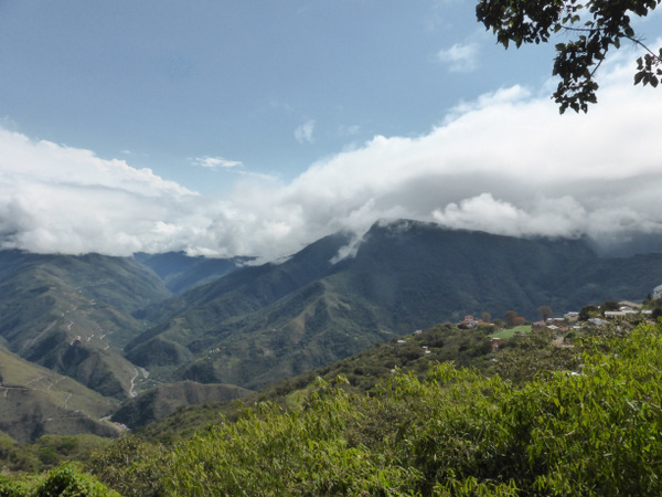 Bolivia-Coroico-Featured.JPG Bolivia Coroico Featured