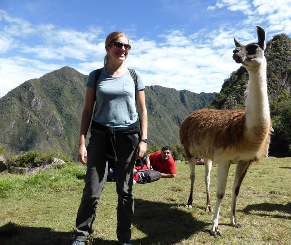 Machu-Picchu-Lama.JPG Machu Picchu Lama