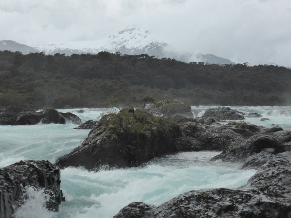 4-Chile-Puerto-Varas-Saltos-del-Petrohué.JPG Chile Puerto Varas Saltos del Petrohué
