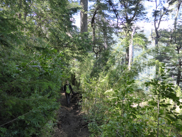 5-Chile-Pucón-Huerquehue-National-Park.JPG Chile Pucón Huerquehue National Park